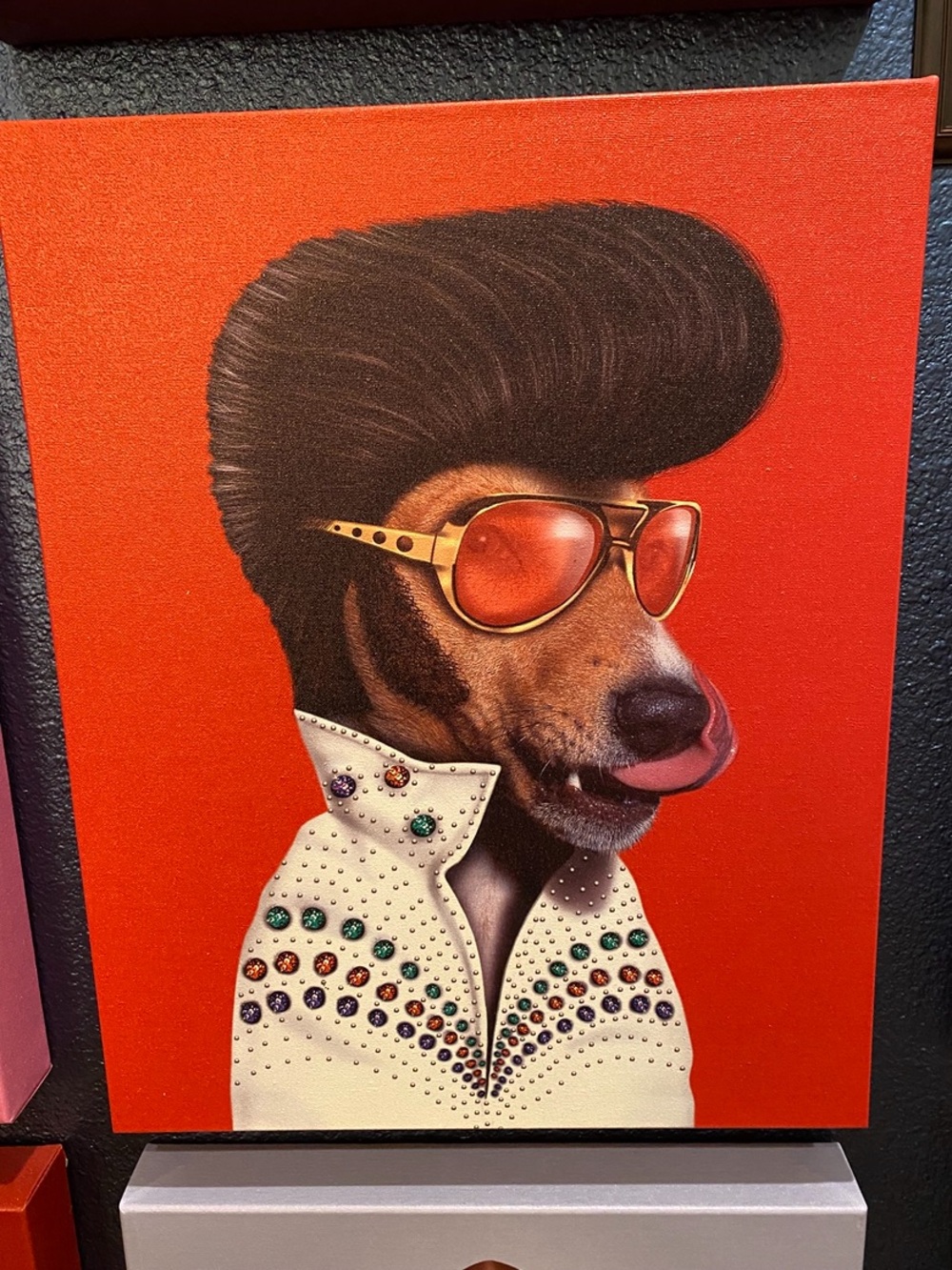 Pets Rock Elvis Canvas Art  16 x 20